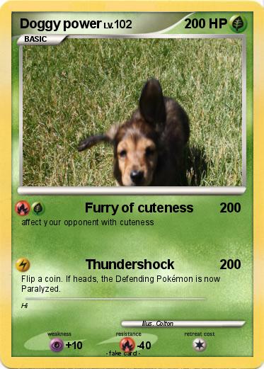 Pokemon Doggy power