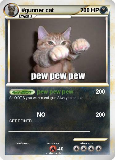 Pokemon #gunner cat