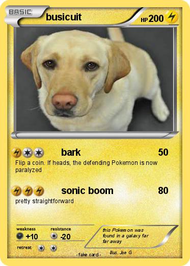 Pokemon busicuit