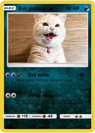 Pokemon Evil plotting cat