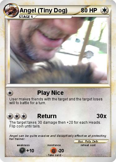 Pokemon Angel (Tiny Dog)