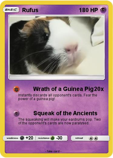Pokemon Rufus