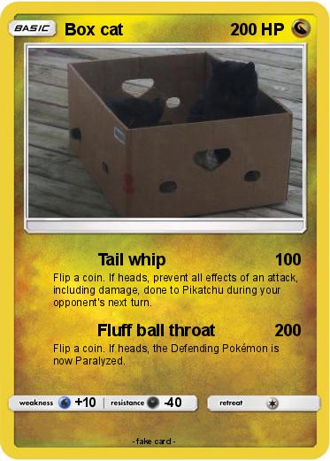 Pokemon Box cat