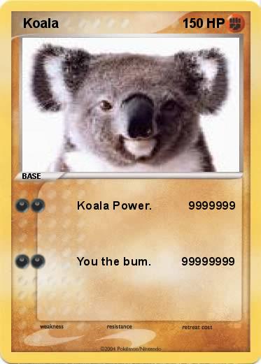 Pokemon  Koala 
