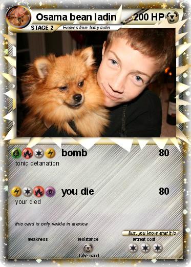 Pokemon Osama bean ladin