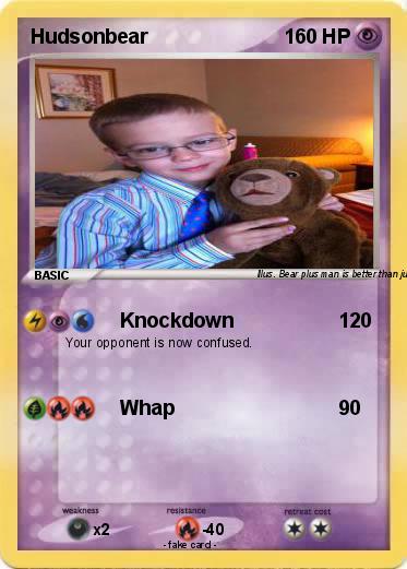 Pokemon Hudsonbear