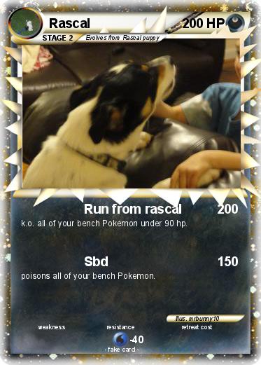 Pokemon Rascal