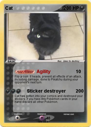 Pokemon Cat
