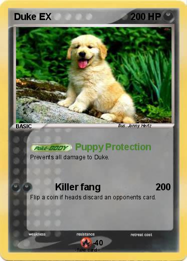 Pokemon Duke EX