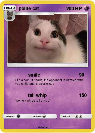 Pokemon polite cat