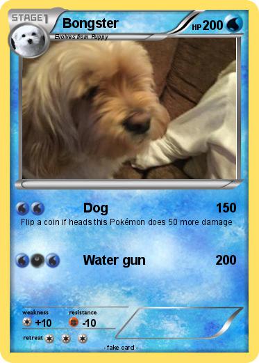 Pokemon Bongster