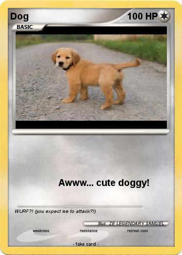 Pokemon Dog