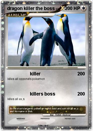 Pokemon dragon killer the boss