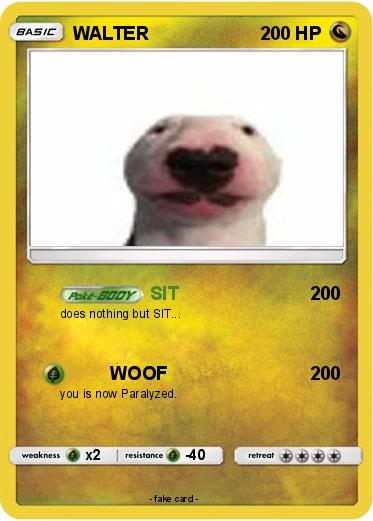 Pokemon WALTER