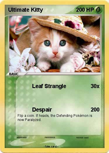 Pokemon Ultimate Kitty