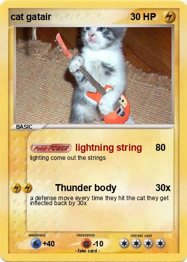 Pokemon cat gatair