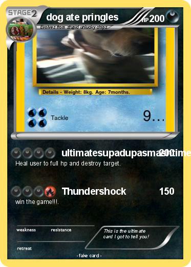 Pokemon dog ate pringles