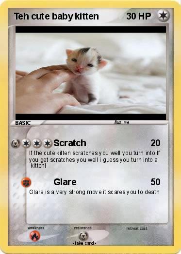 Pokemon Teh cute baby kitten