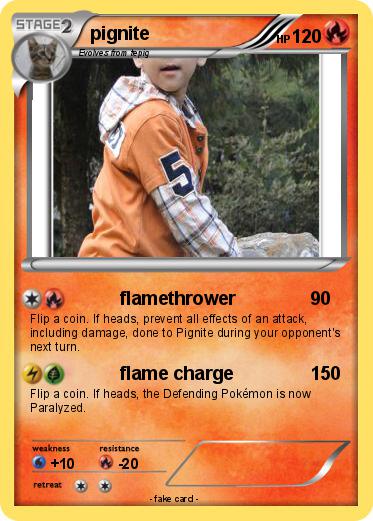 Pokemon pignite