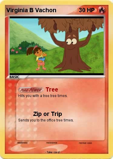 Pokemon Virginia B Vachon