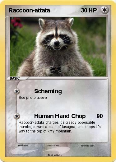 Pokemon Raccoon-attata