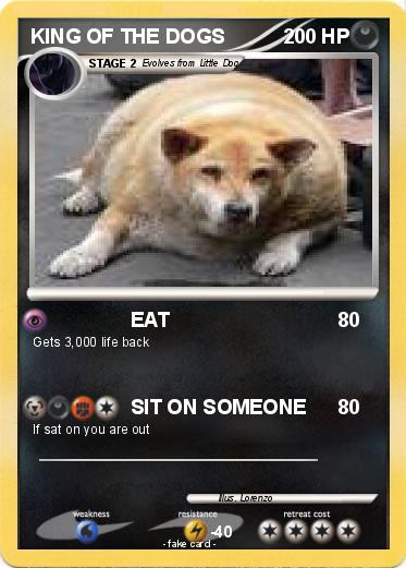 Pokemon KING OF THE DOGS