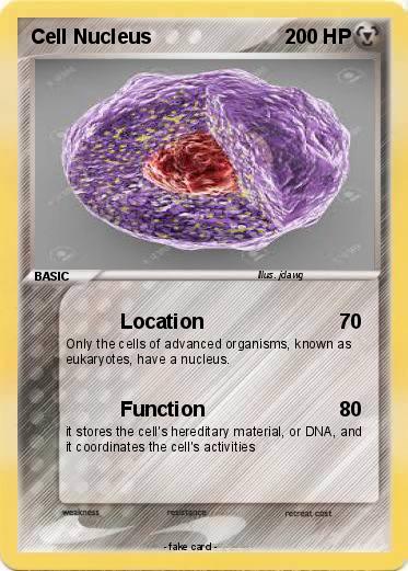 Pokemon Cell Nucleus