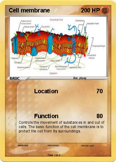 Pokemon Cell membrane