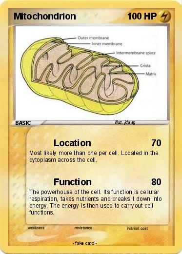 Pokemon Mitochondrion