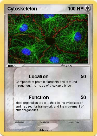 Pokemon Cytoskeleton