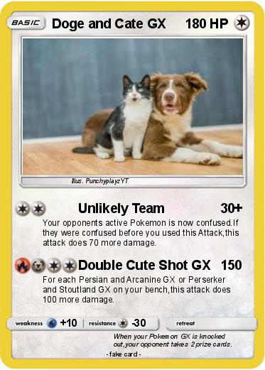 Pokemon Doge and Cate GX