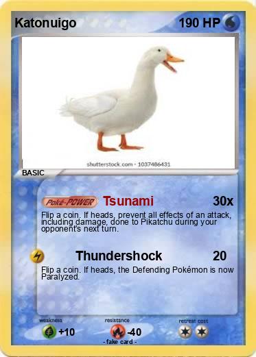 Pokemon Katonuigo