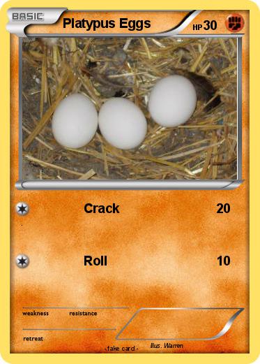 Pokemon Platypus Eggs