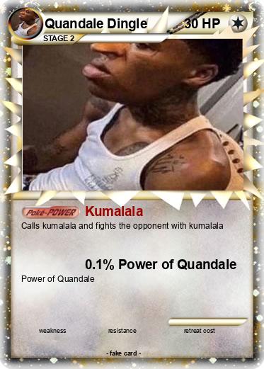 Pokemon Quandale Dingle