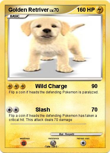 Pokemon Golden Retriver