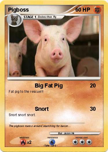 Pokemon Pigboss