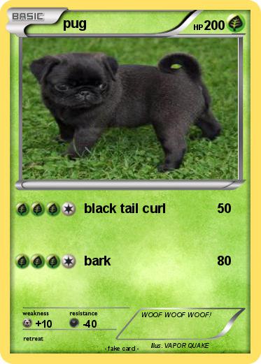 Pokemon pug