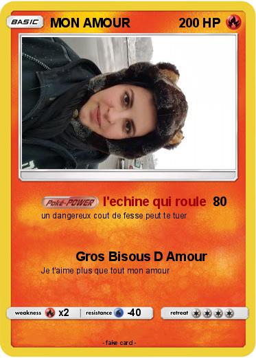 Pokemon MON AMOUR