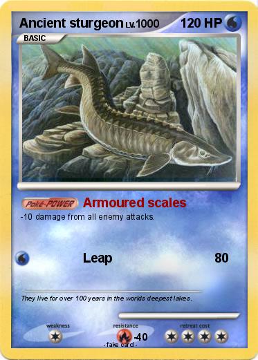 Pokemon Ancient sturgeon