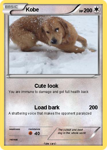 Pokemon Kobe