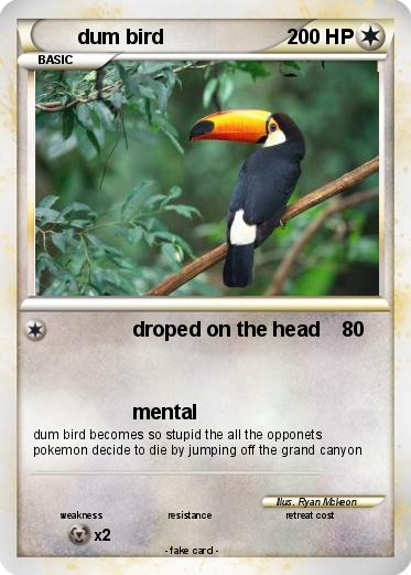 Pokemon dum bird