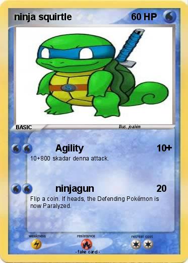 Pokemon ninja squirtle