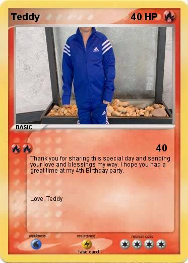 Pokemon Teddy