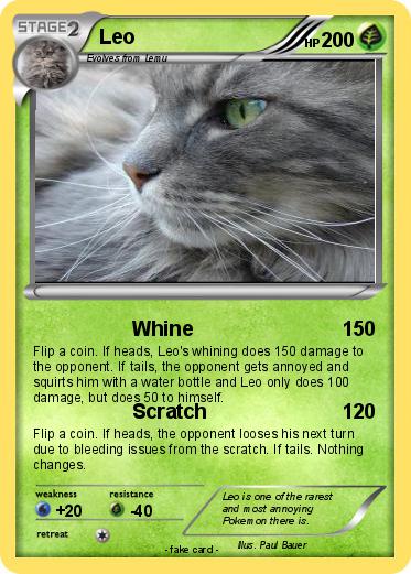 Pokemon Leo
