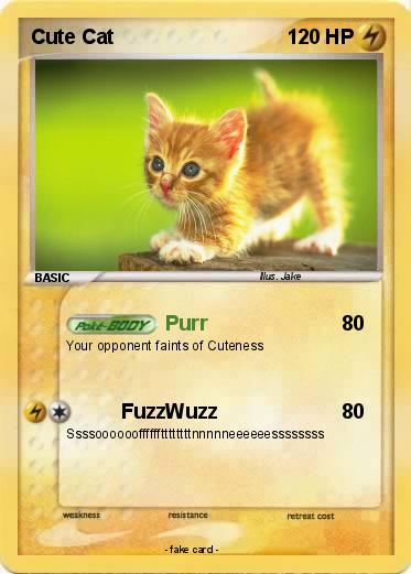 Pokemon Cute Cat