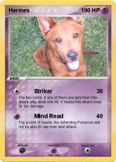 Pokemon Hermes