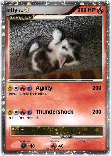 Pokemon kitty
