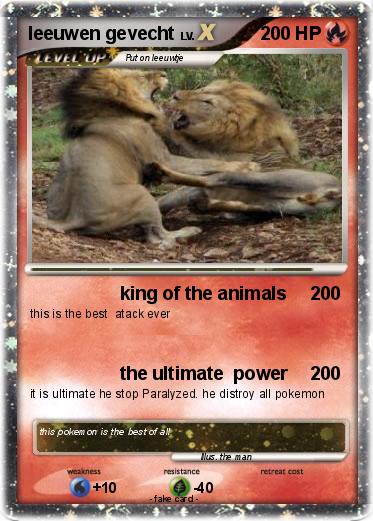 Pokemon leeuwen gevecht