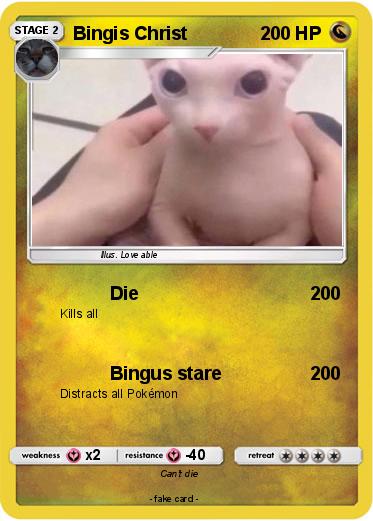 Pokemon Bingis Christ
