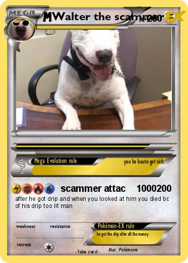 Pokemon Walter the scammer